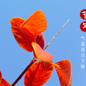 秋分‖云淡風(fēng)清揚(yáng)，秋色可分長(zhǎng)